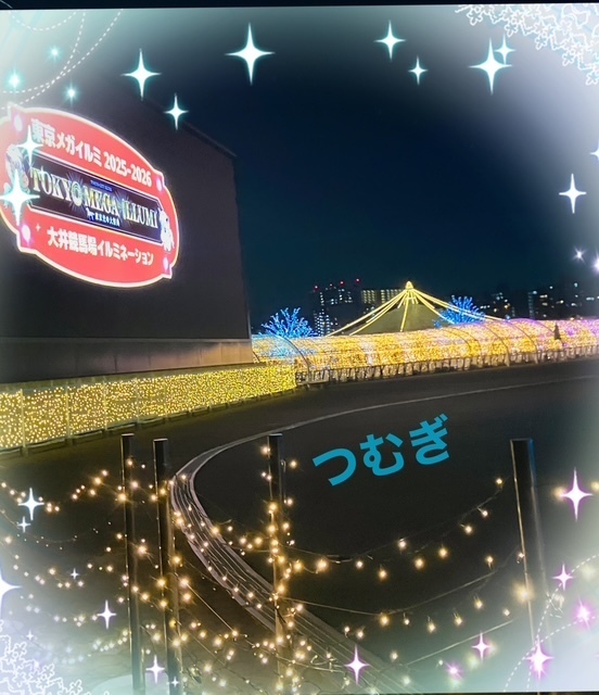 イルミネーション｜写メ日記｜真性Ｍ★紬｜立川・八王子・三多摩 出張SM マニアック女人館