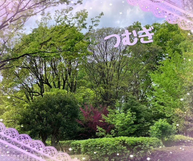 新緑｜写メ日記｜真性Ｍ★紬｜立川・八王子・三多摩 出張SM マニアック女人館