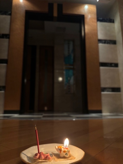 今週もありがとうございました｜写メ日記｜ドＭ★莉緒｜立川・八王子・三多摩 出張SM マニアック女人館