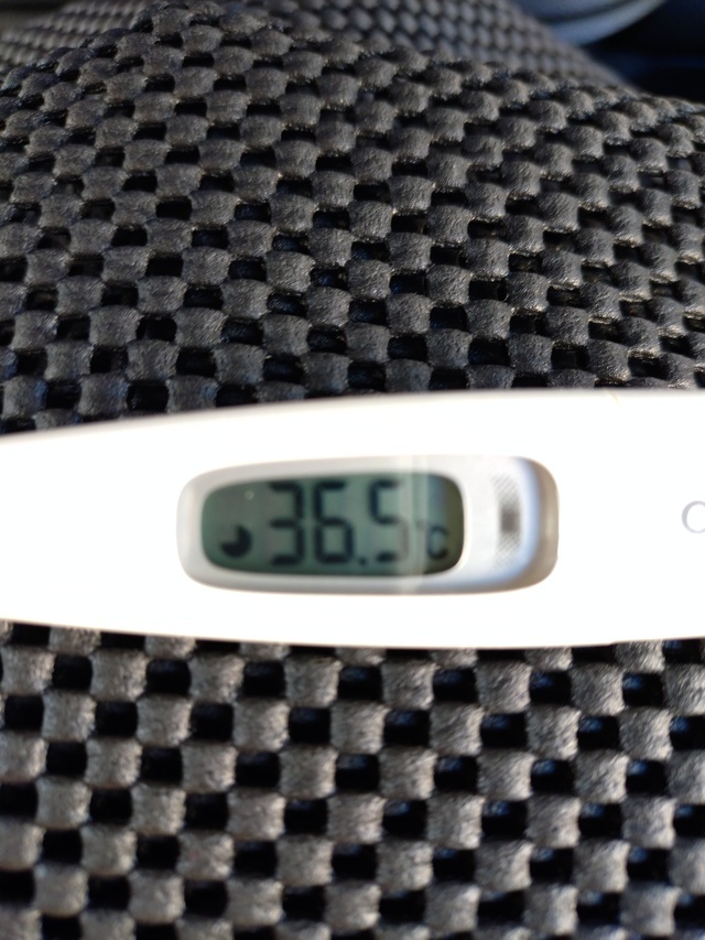 こんにちは♬.*ﾟ