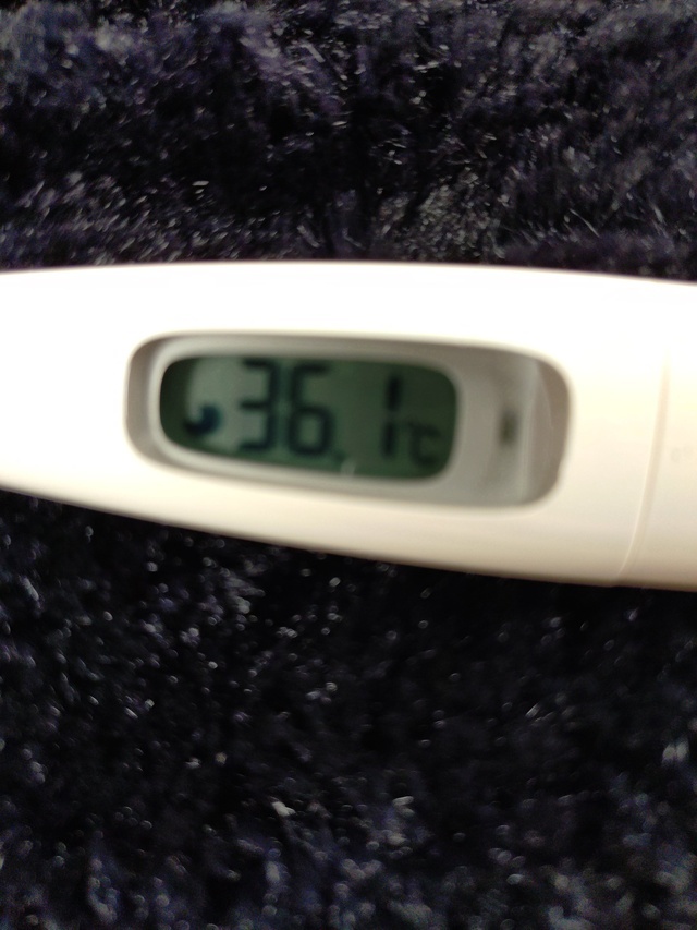 こんにちは♬.*ﾟ。