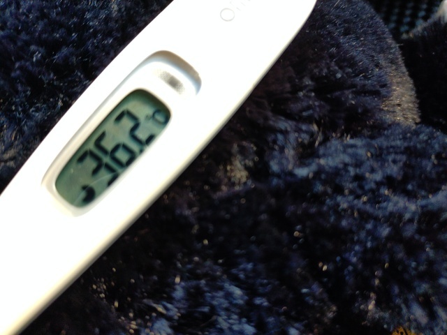 こんにちは♬.*ﾟ