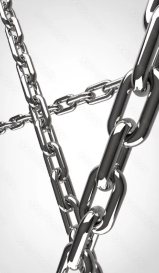 こんにちは✨｜写メ日記｜麗痴女王様｜立川・八王子・三多摩 出張SM マニアック女人館