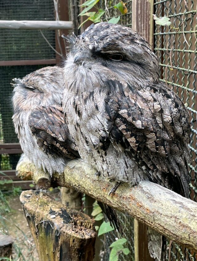 こんにちは♬.*ﾟ｜写メ日記｜麗痴女王様｜立川・八王子・三多摩 出張SM マニアック女人館
