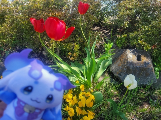 お昼休憩！｜写メ日記｜ドＭ★紗良｜立川・八王子・三多摩 出張SM マニアック女人館