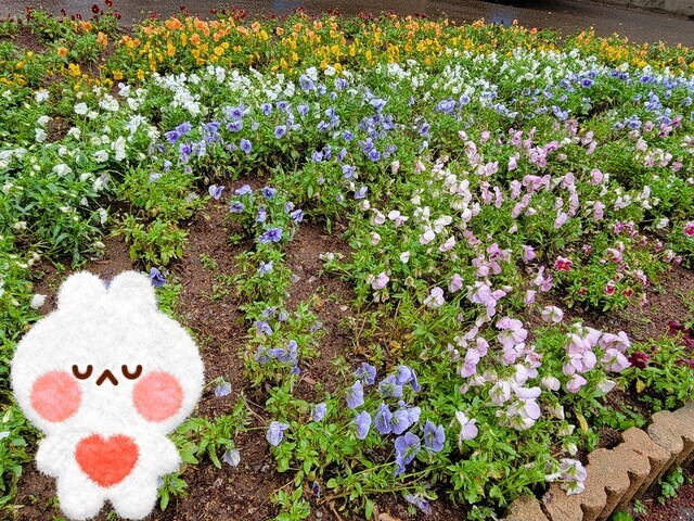 出勤のお知らせ🌹｜写メ日記｜ドＭ★紗良｜立川・八王子・三多摩 出張SM マニアック女人館