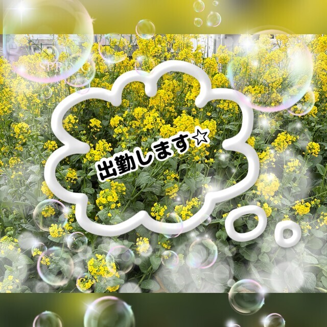 本日出勤します🍑