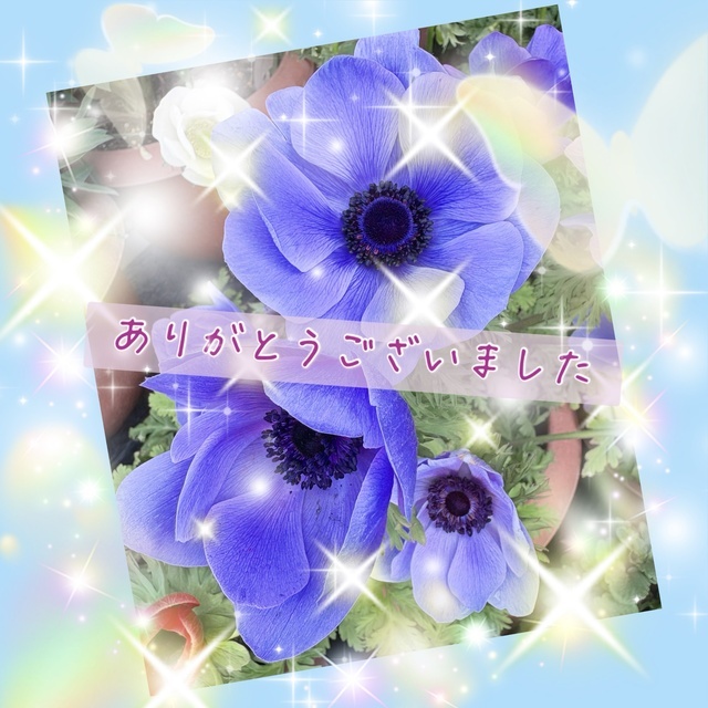 4/1(水)のお礼です💝