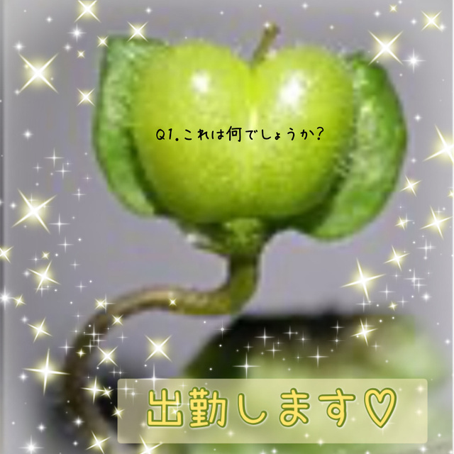 本日出勤します🍑