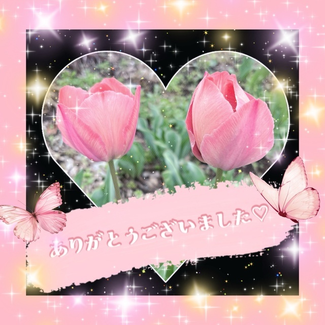 4/10(金)のお礼です🌷