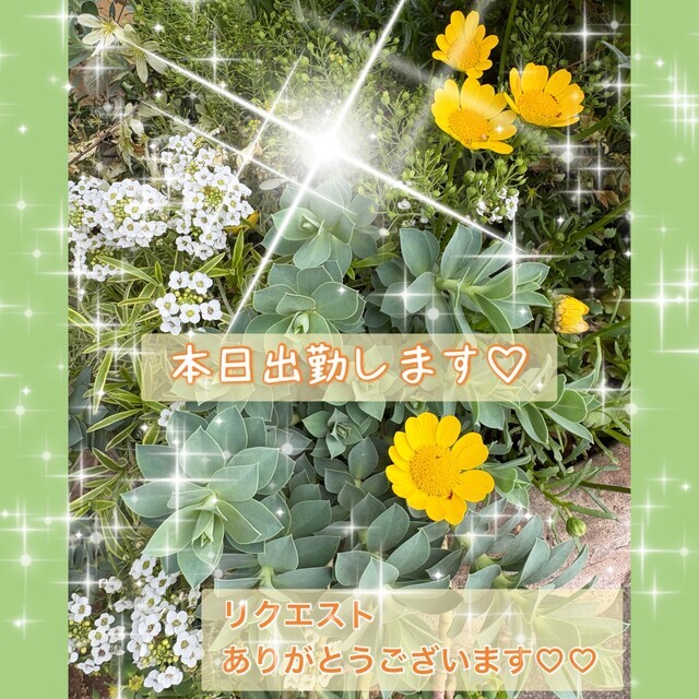 リクエストありがとうございます💓