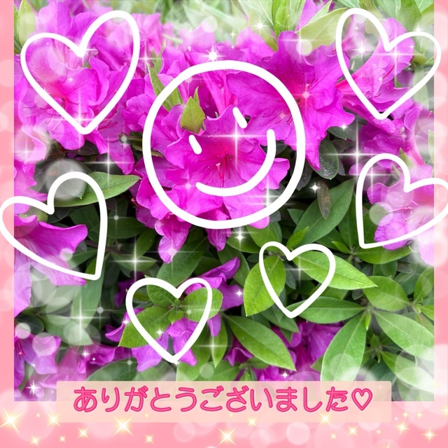 4/30(木)のお礼です😌