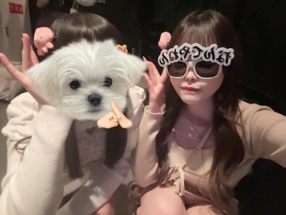 12/20 トイプー好きの自宅のお兄さん🍒｜写メ日記｜えみか｜渋谷 一般デリヘル まだ舐めたくて学園渋谷校～舐めたくてグループ～