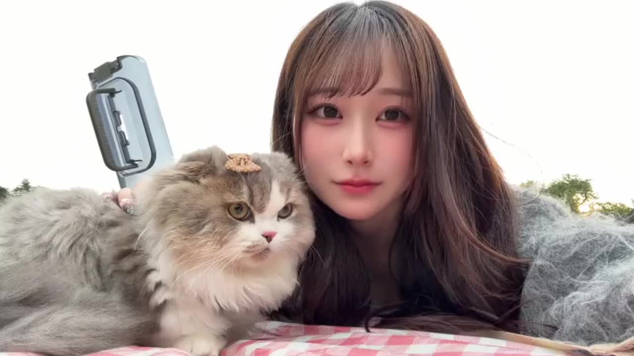守りたい🥺｜写メ日記｜てんま｜渋谷 一般デリヘル まだ舐めたくて学園渋谷校～舐めたくてグループ～