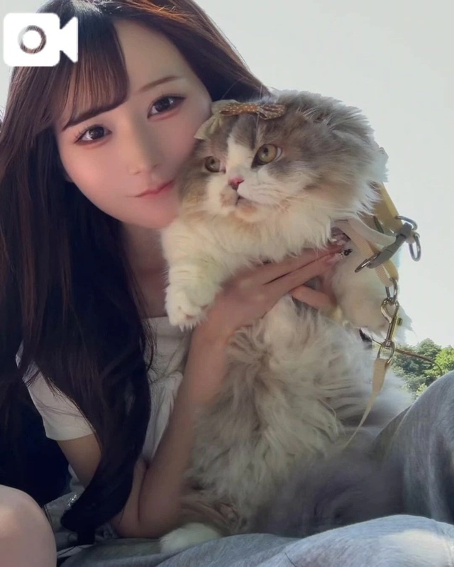 ピクニック日和🐈🧺💛