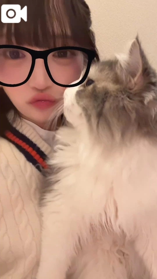 ねこの日♡｜写メ日記｜りーたん｜渋谷 一般デリヘル まだ舐めたくて学園渋谷校～舐めたくてグループ～