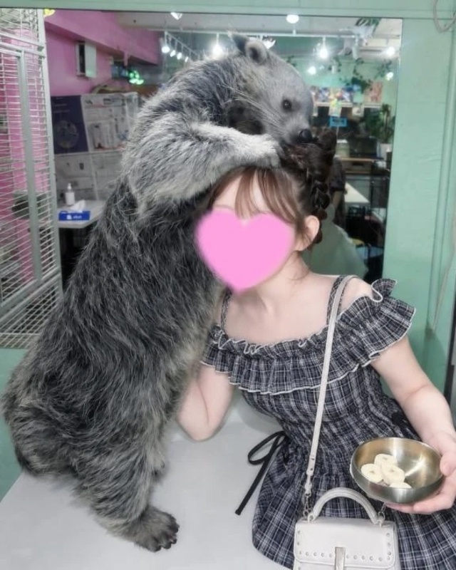 初登校🩷｜写メ日記｜めめち｜渋谷 一般デリヘル まだ舐めたくて学園渋谷校～舐めたくてグループ～