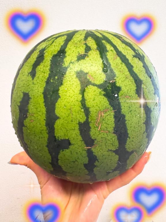 お休み