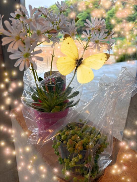 ありがとうございます｜写メ日記｜すずか｜立川・八王子・三多摩 人妻デリヘル マダムの品格