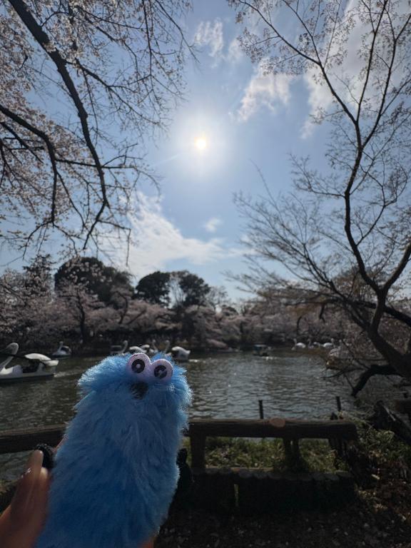 おはよう〜！｜写メ日記｜すずか｜立川・八王子・三多摩 人妻デリヘル マダムの品格