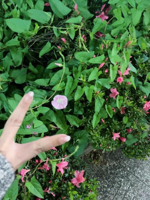 出勤します