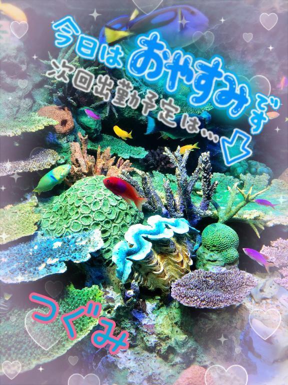 休暇中*¨*.¸︎｜写メ日記｜つぐみ｜立川・八王子・三多摩 人妻デリヘル マダムの品格