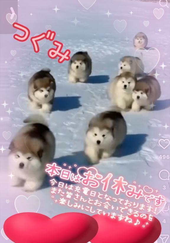 休暇中*ﾟ｜写メ日記｜つぐみ｜立川・八王子・三多摩 人妻デリヘル マダムの品格