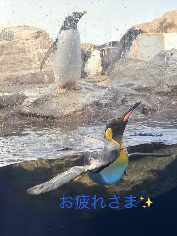 ありがとうございました｜写メ日記｜りか｜立川・八王子・三多摩 人妻デリヘル マダムの品格