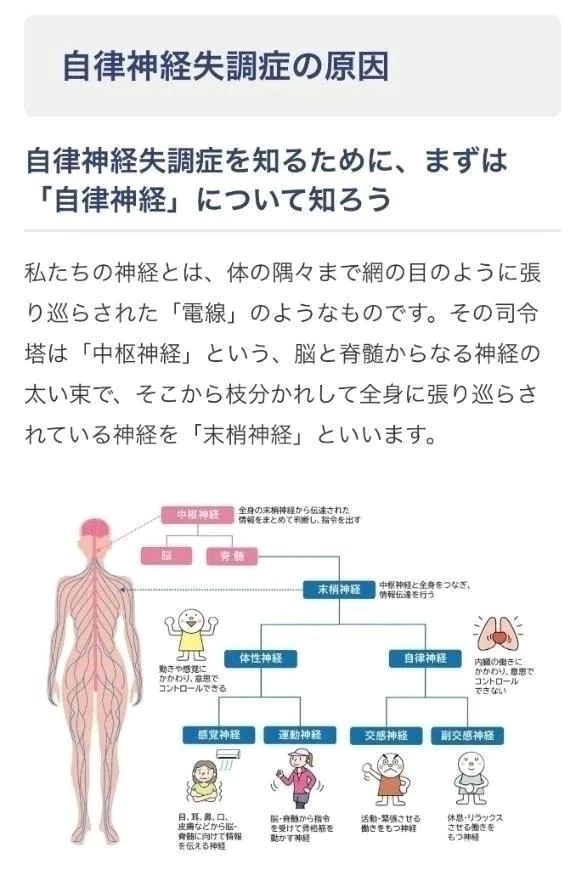 💝自立神経について｜写メ日記｜三橋｜鶯谷 人妻デリヘル 熟女の風俗最終章鶯谷店
