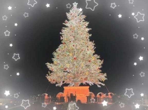 鳥に頭を蹴られた🕊️｜写メ日記｜川口｜鶯谷 人妻デリヘル 熟女の風俗最終章鶯谷店