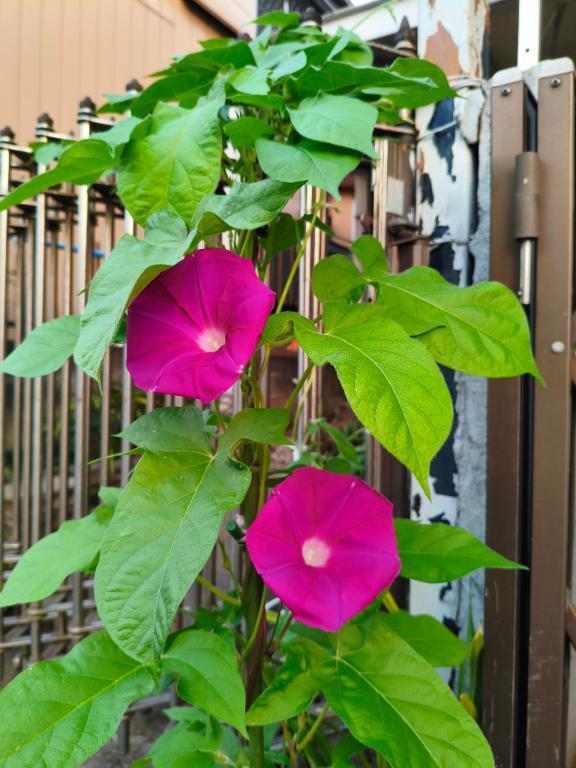 失礼しました｜写メ日記｜榊｜鶯谷 人妻デリヘル 熟女の風俗最終章鶯谷店
