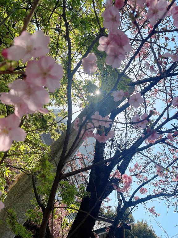 今日は....♡｜写メ日記｜有栖｜鶯谷 人妻デリヘル 熟女の風俗最終章鶯谷店