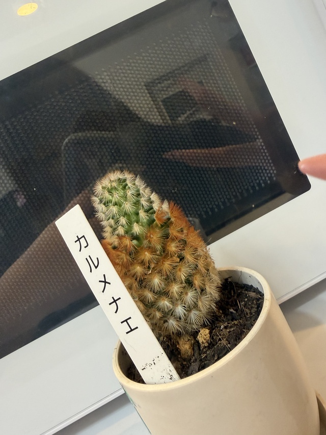 お知らせがあります