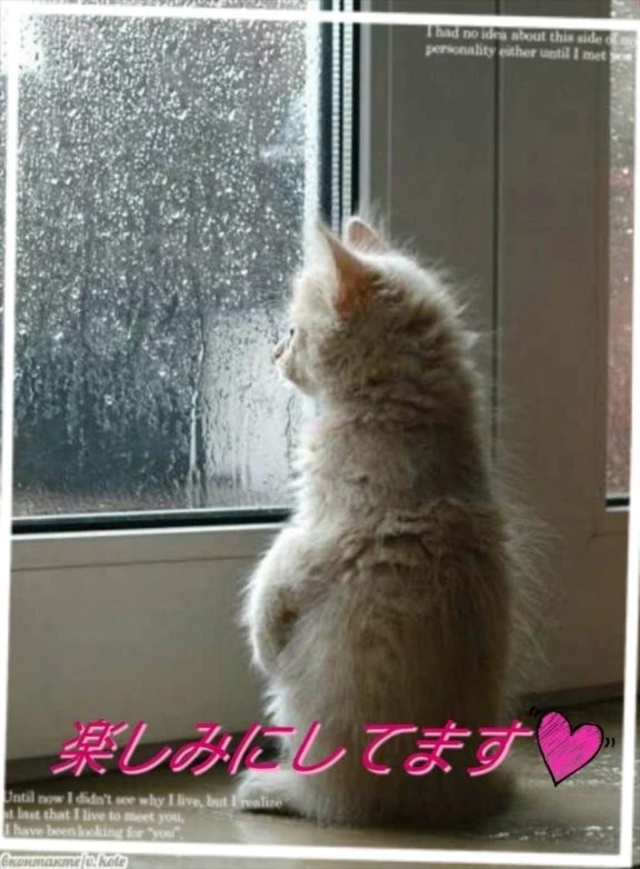 明日の御予約ありがとうございます(*ov.v)o｜写メ日記｜松島｜鶯谷 人妻デリヘル 熟女の風俗最終章鶯谷店