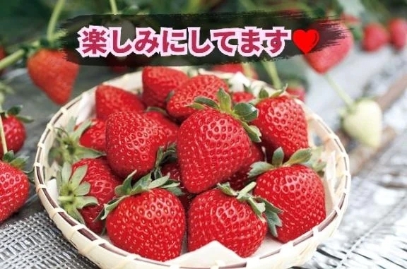 明日の再会の御予約ありがとうございます(^-^)｜写メ日記｜松島｜鶯谷 人妻デリヘル 熟女の風俗最終章鶯谷店