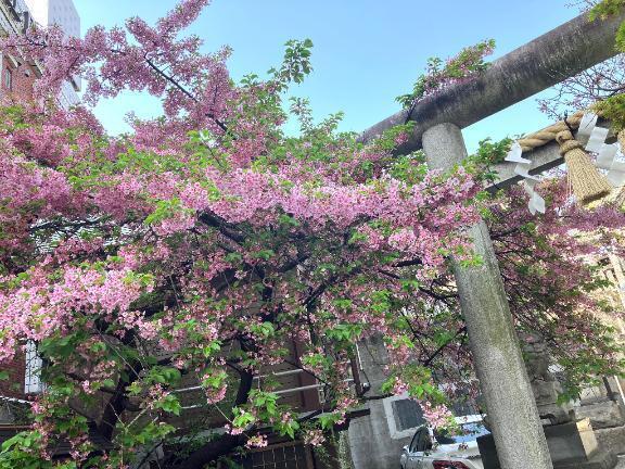 深夜早朝特別（多分w)200分コースT様｜写メ日記｜夏川｜鶯谷 人妻デリヘル 熟女の風俗最終章鶯谷店