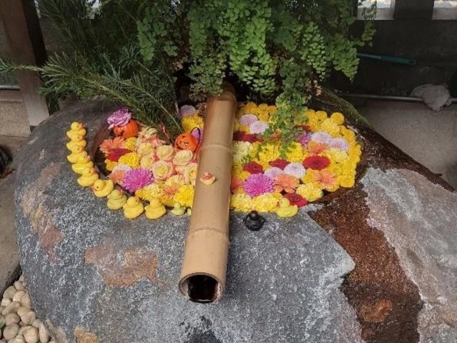 ここど〜こだ？｜写メ日記｜衣舞（いぶ）｜鶯谷 人妻デリヘル 熟女の風俗最終章鶯谷店