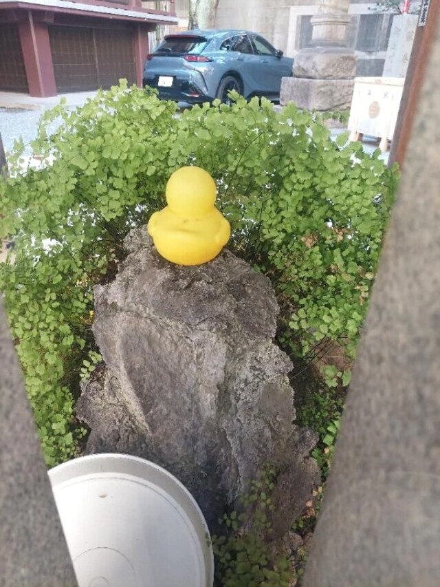 覚えてる？｜写メ日記｜衣舞（いぶ）｜鶯谷 人妻デリヘル 熟女の風俗最終章鶯谷店