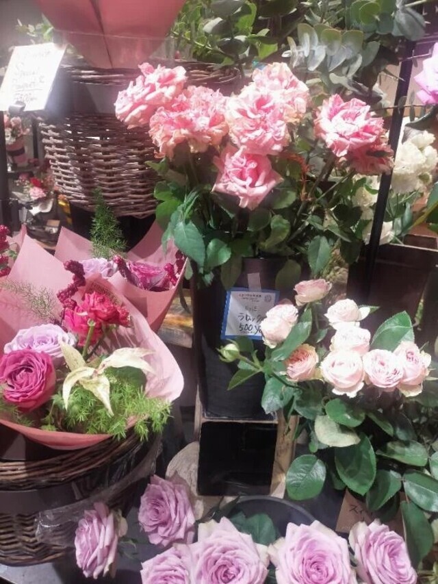 早いですね🧭❄️｜写メ日記｜香西｜鶯谷 人妻デリヘル 熟女の風俗最終章鶯谷店