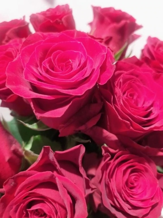 ありがとうございます✨