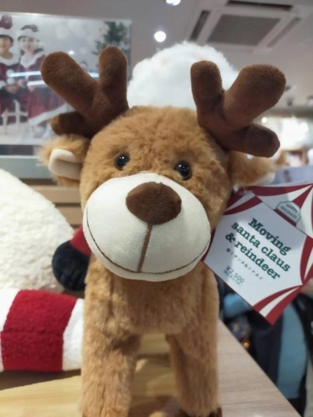 本日出勤❄️🎄