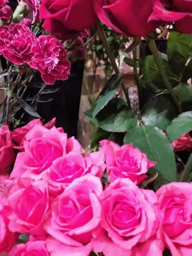 🧭🎄週の始まり🎄