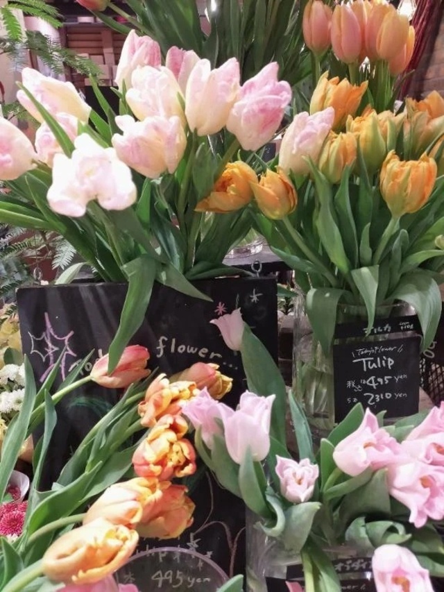 暖かい日でしたね🌞🍭🍡｜写メ日記｜香西｜鶯谷 人妻デリヘル 熟女の風俗最終章鶯谷店