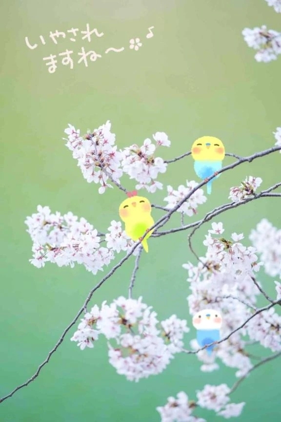 タイミング🌸💝