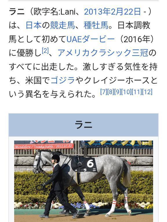 この【ラニ様】の娘馬｜写メ日記｜風吹（ふぶき）｜鶯谷 人妻デリヘル 熟女の風俗最終章鶯谷店