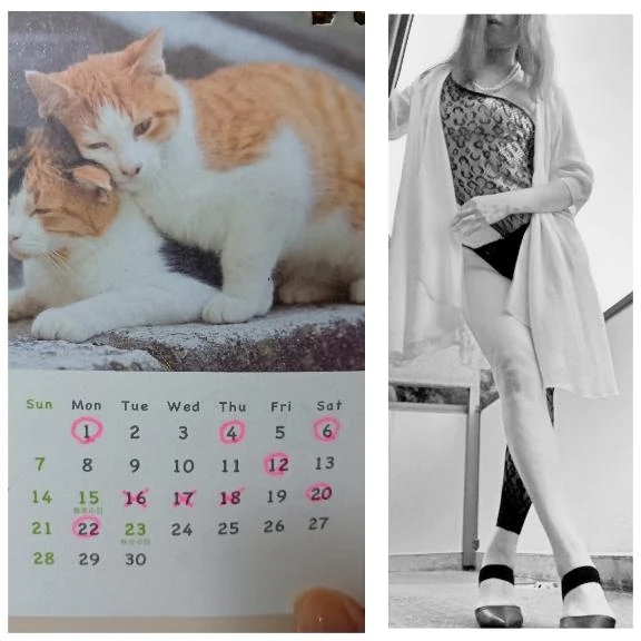 ４日から２２日のご予約ありがとうございます❤️｜写メ日記｜風吹（ふぶき）｜鶯谷 人妻デリヘル 熟女の風俗最終章鶯谷店