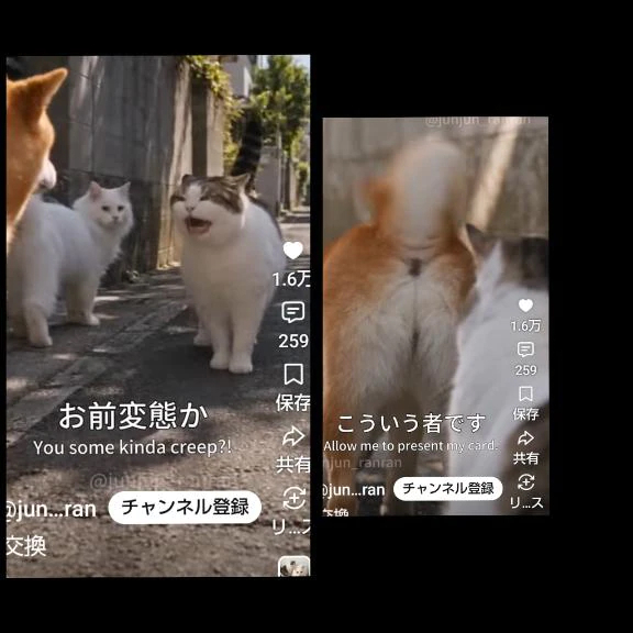 犬の名刺交換（笑）　AIの正しい使い方｜写メ日記｜風吹（ふぶき）｜鶯谷 人妻デリヘル 熟女の風俗最終章鶯谷店