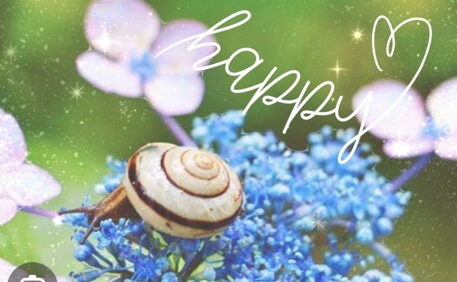 今日から、6月🐌💨ですねぇ、、明日～雨☔風強まる～｜写メ日記｜町村｜鶯谷 人妻デリヘル 熟女の風俗最終章鶯谷店
