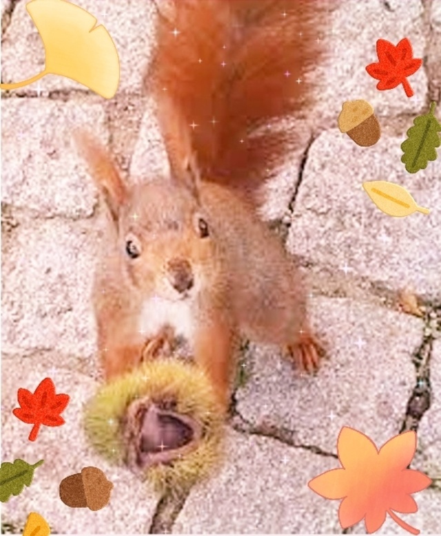 性感帯は、🌰と🐿️❗💋(笑)次回の出勤は、❔❔