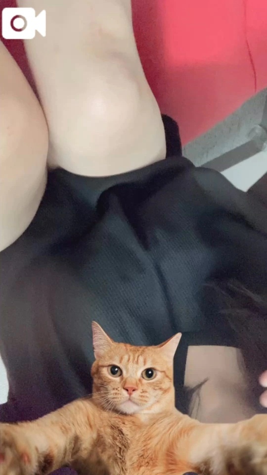 どう思いますか？｜写メ日記｜小野｜鶯谷 人妻デリヘル 熟女の風俗最終章鶯谷店